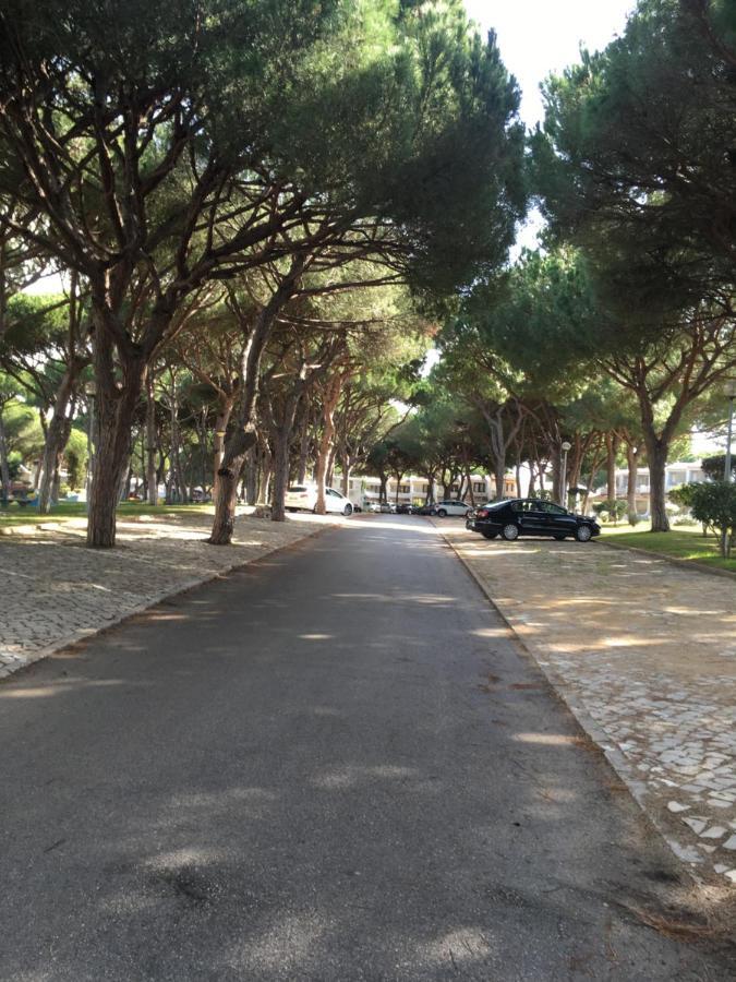 Arvore Da Vida Appartement